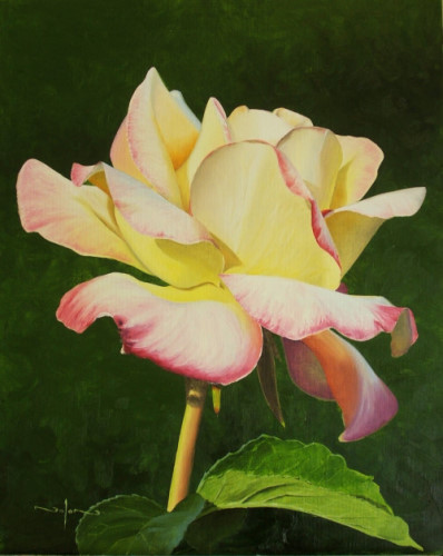 How to Paint a Realistic Flower in Oil