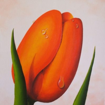 How to Paint a Tulip in Oil