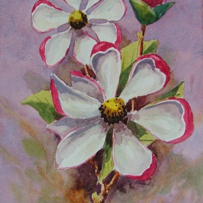 How to Paint a Magnolia Flower in Watercolour