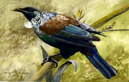 How to Paint Birds in Watercolour