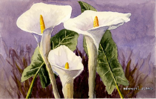 How to Paint Arum (Calla) Lilies in Watercolour
