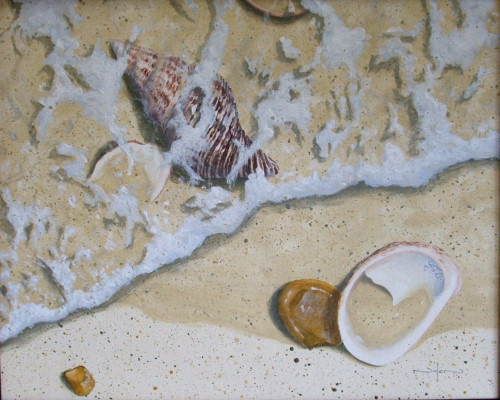 painting-seashells-on-the-beach