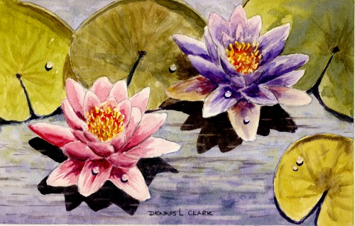 How to Paint Water Lilies in Watercolour