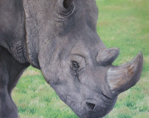 How to Paint a Rhino in Oil