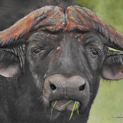 How to Paint a Buffalo in Oil