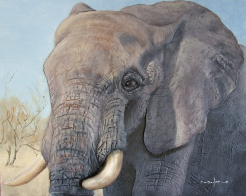 How to Paint an Elephant in Oil