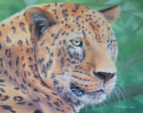 How to Paint a Leopard in Oil