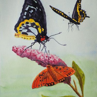 How to Paint Butterflies in Watercolour