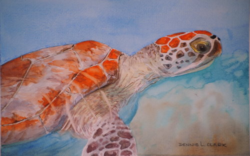 How to Paint a Sea Turtle in Watercolour