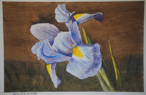 How to Paint an Iris in Watercolour