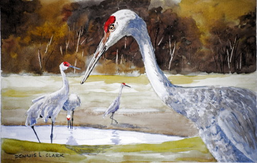 How to Paint Red Crowned Cranes in Watercolour