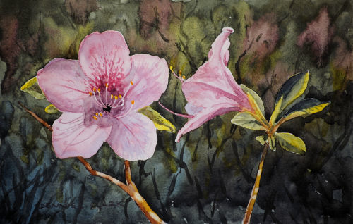 How to Paint Azaleas Closeup in Watercolour