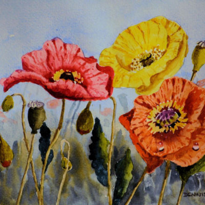 How to Paint Poppies Flowers in Watercolour