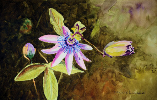 How to Paint Passion Fruit Flower in Watercolour