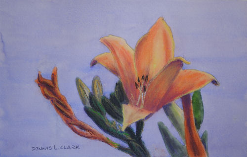 How to Paint  Day Lilies in Watercolour and Pastel