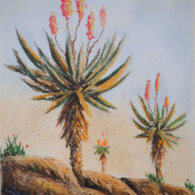 How to Draw Aloes in Pastel