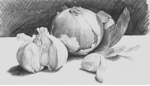 How to Draw Onions and Garlic