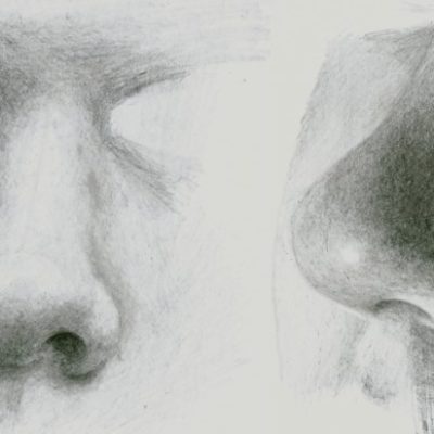 How to Draw Noses