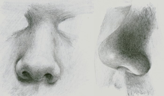 how-to-draw-nose-in-pencil-700