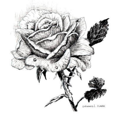 How to Draw a Rose in Pen and Ink