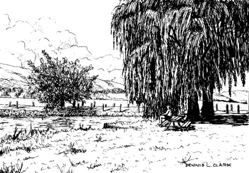 How to Draw a Willow Tree Landscape in Pen and Ink