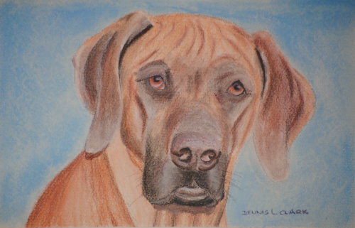 How to Draw a Dog Portrait in Pastel