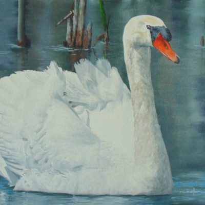 How to Paint a Swan in Oil