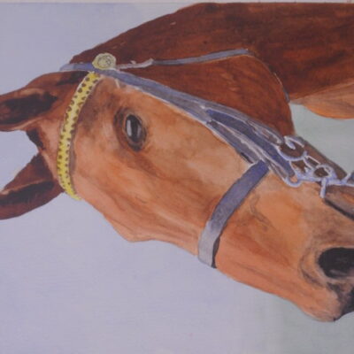 How to Paint a Horse Portrait in Watercolour