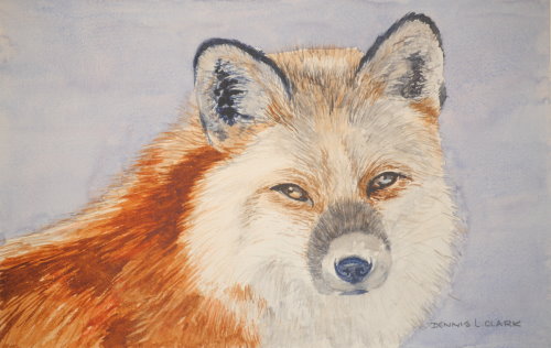 How to Paint a Red Fox Portrait in Watercolour