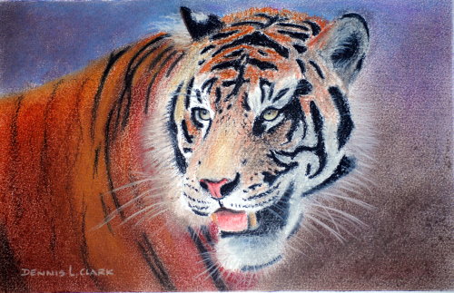 How to Draw a Tiger Portrait in Pastel