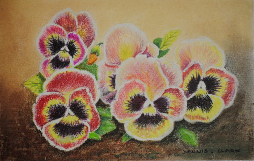 How to Draw Pansy Flowers in Pastel