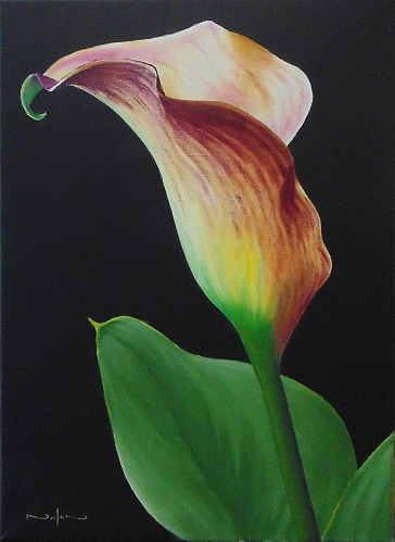 How to Paint a Calla Lily in Oil