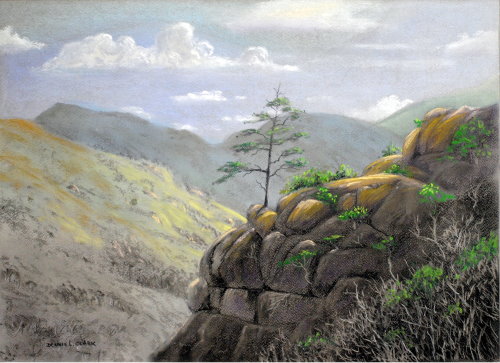 How to Draw the Sentinal in Soft Pastel