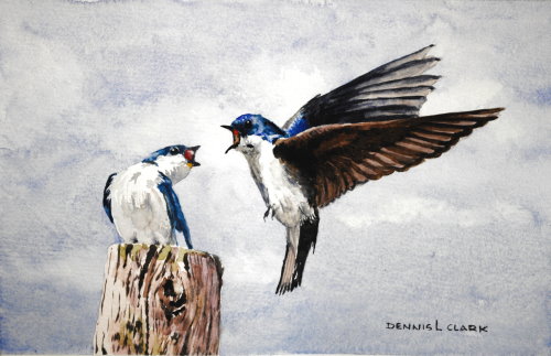 How to Paint Two Swallows in Watercolour