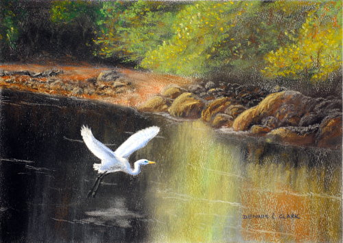 How to Draw an Egret in Pastel