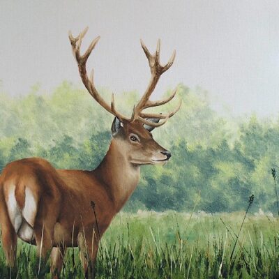 How to Paint a Deer in Oil