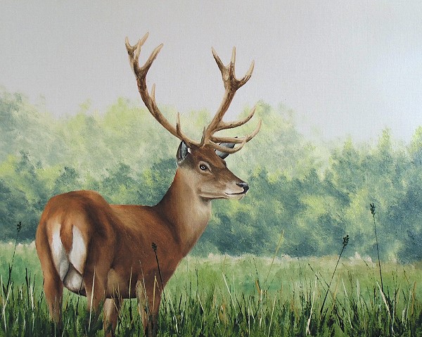 67-oil-deer-final-painting-600