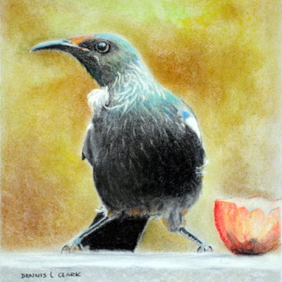 How to Draw a Tui at an Apple in Pastel