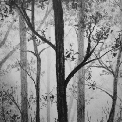 How to Draw a Misty Forest
