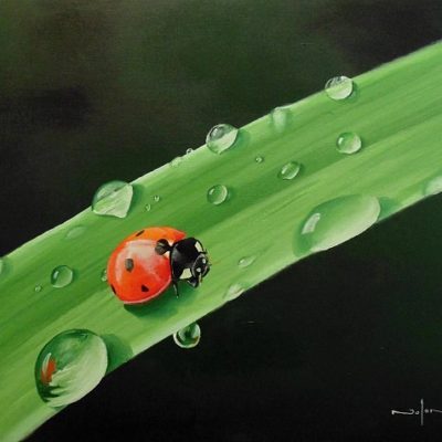 How to Paint a Ladybug in Oil