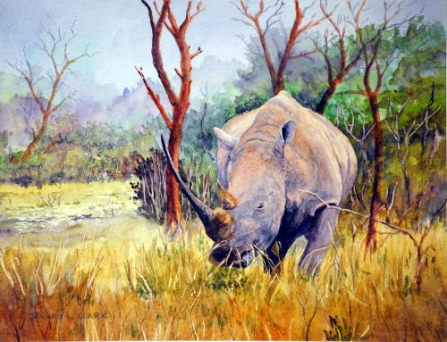 How to Paint a White Rhino in Bush in Watercolour