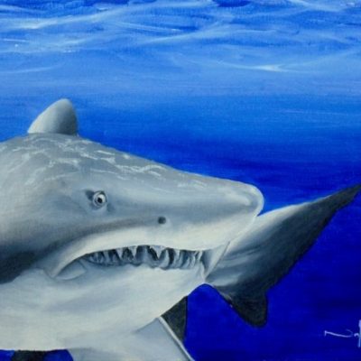 How to Paint a Shark in Oil