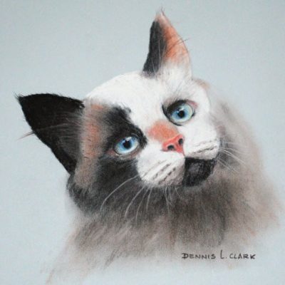 How to Draw an Inquisitive Cat in Pastel