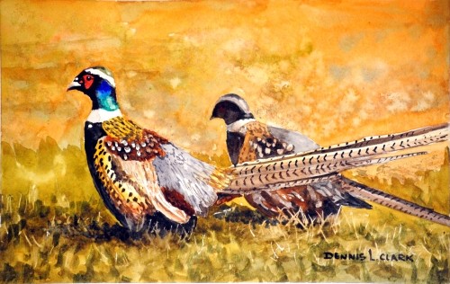 How to Paint Two Pheasant Birds in Watercolour