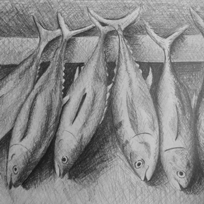 How to Crosshatch Fish