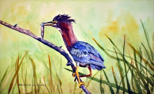 How to Paint a Heron and Fish in Watercolour