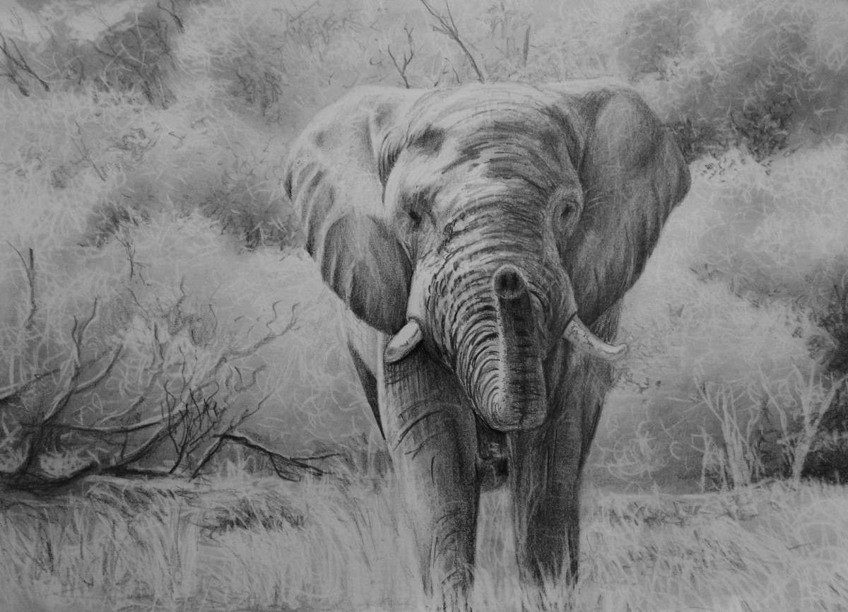 how-to-draw-an-elephant-final-1200