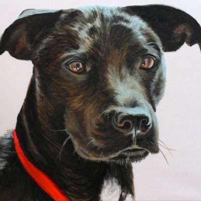 How to Paint Black Hair Animals (Dog)