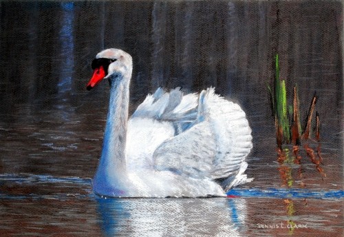 How to Draw a White Swan in Pastel