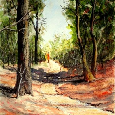 Watercolour with Pastel Pencils